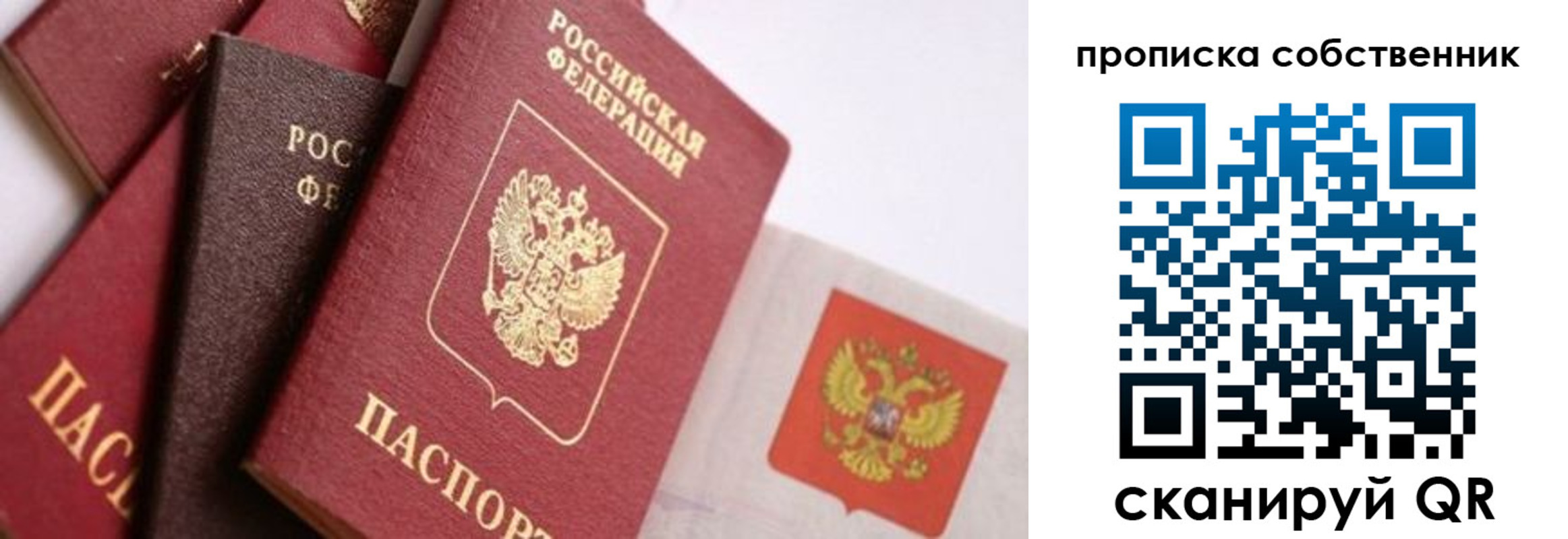 где прописаться в Муроме